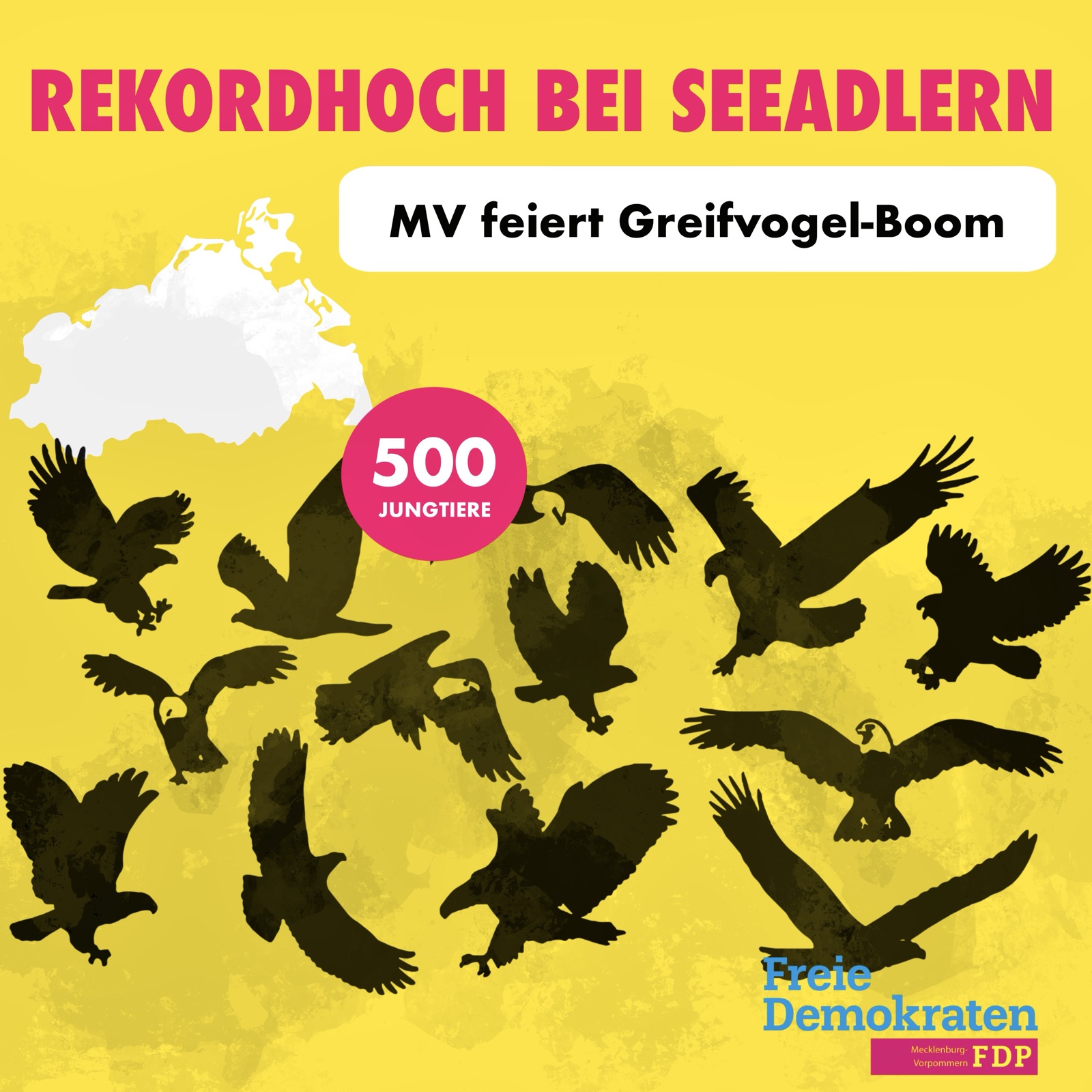 Rekordhoch bei Seeadlern