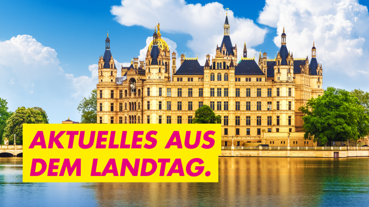 Landtag Mecklenburg-Vorpommern
