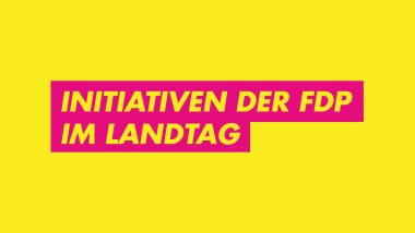 Initiativen der FDP im Landtag
